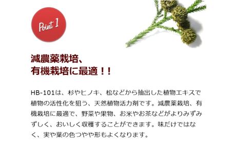 HB-101　大容量セット