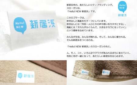 今治タオルブランド 乾きやすい 「速乾」シリーズ 抗菌防臭ミニバスタオル2枚セット （ブラウン＆ベージュ） 【Hello!NEW】