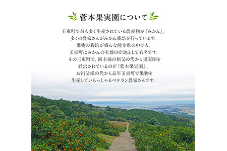 みかん 約5kg(2S-Lサイズ)《11月中旬-1月中旬頃出荷》 【日付指定不可】 菅本果実園