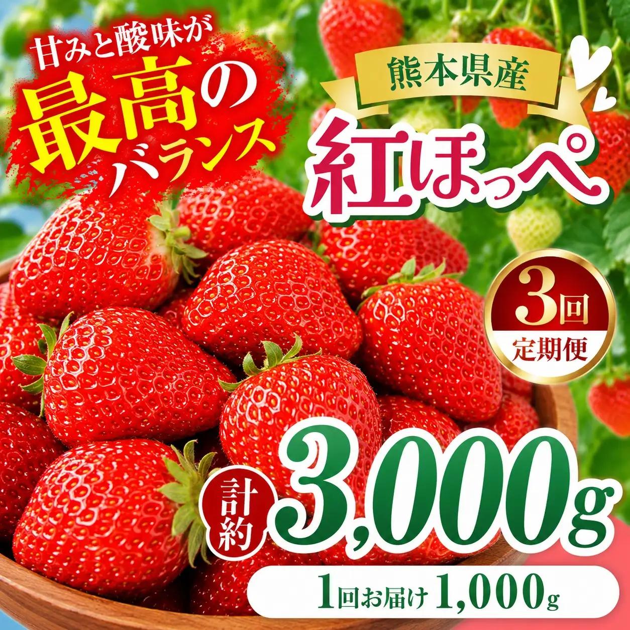 【3回定期便】いちご 紅ほっぺ 約3000g 坂田農園