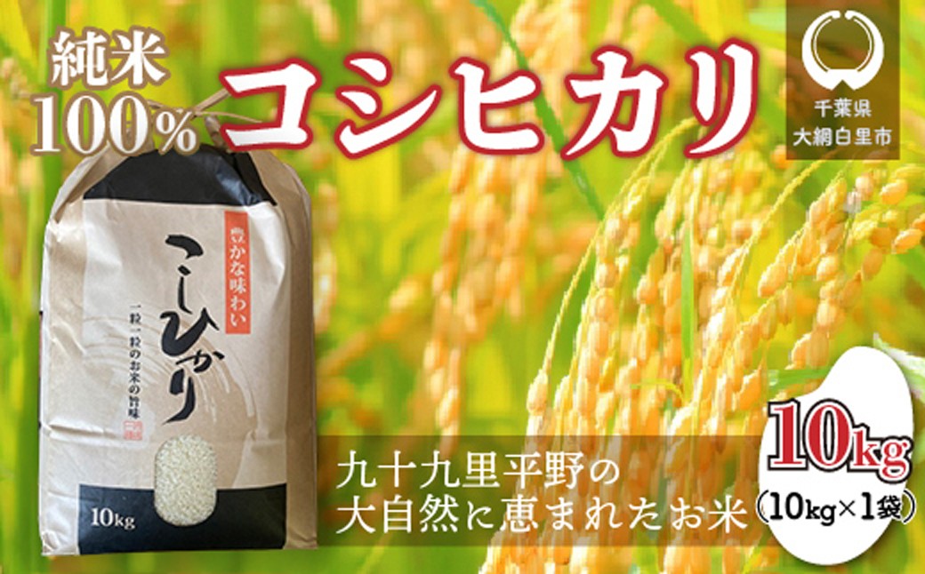 
                  【令和7年産】千葉県 大網白里市産 コシヒカリ 10kg（10kg×1袋） お米 10kg 千葉県産 大網白里市 コシヒカリ 米 精米 こめ 送料無料
                