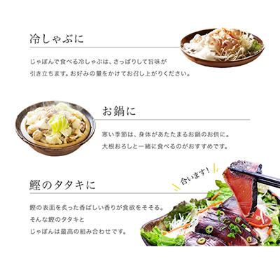 ふるさと納税 湯浅町 じゃばらポン酢 じゃぽん 360ml×3本セット 邪払の旨味がクセになる 和歌山県北山村から |  | 03