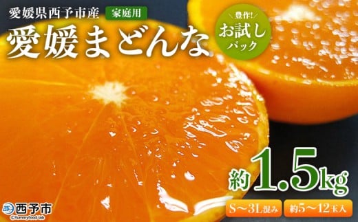 紅まどんなと同品種！＜愛媛県西予市産 愛媛まどんな 家庭用 豊作 お試しパック 約1.5kg＞ 訳あり 柑橘 果物 フルーツ 愛媛果試第28号 マドンナ 食べて応援 宇都宮物産【常温】『2025年12月上旬～2026年1月上旬迄に順次出荷予定』