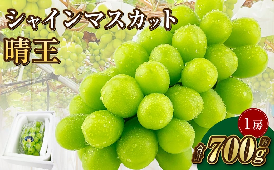 
            岡山県産 シャインマスカット 晴王 1房 約700g【2026年9月上旬-10月下旬 発送予定】｜種無し 皮ごと食べる フレッシュ 先行予約 ハレノフルーツ
          