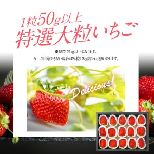 【先行予約】 特選　大粒イチゴ CR-0001