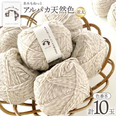 ふるさと納税 江南市 あみもねっと アルパカ天然色並太 8番色 10玉セット