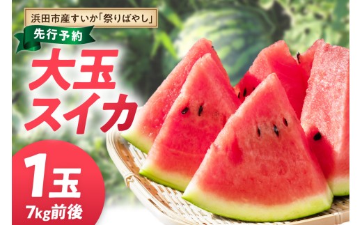 【先行予約】浜田市三隅町産 大玉スイカ 1玉（7kg前後）〈7月中旬から発送〉 大玉 すいか 大玉スイカ 西瓜 フルーツ 果物 常温 【113_2064】