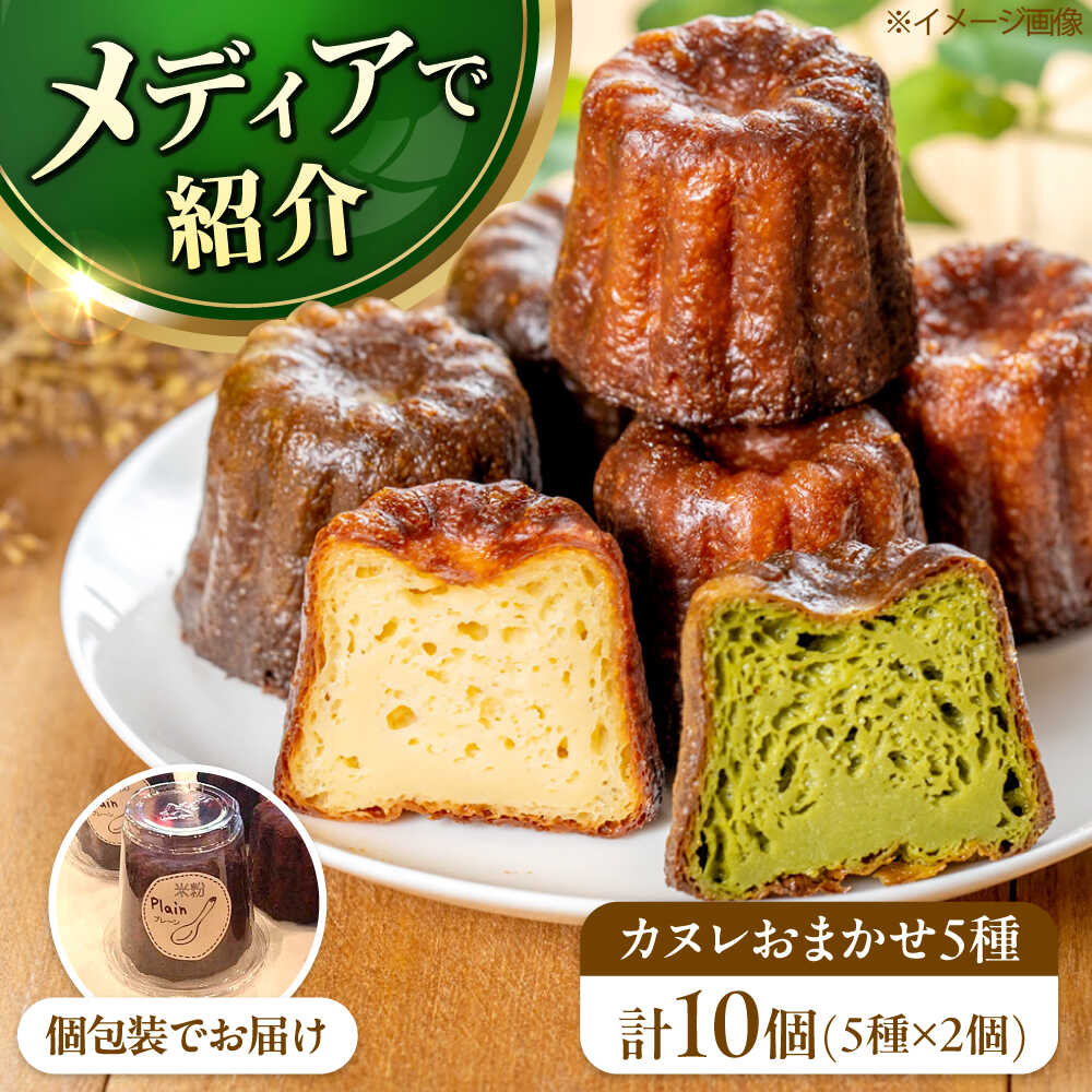 【ふるさと納税】【選べる発送時期】カヌレ 店主おまかせ5種 10個セット 米粉カヌレ 米粉 カヌレ グルテンフリー 国産素材 国産 個包装 10個 お菓子 焼菓子 スイーツ 菓子 おやつ 焼き菓子 焼菓子 贈答 ギフト プレゼント 人気 おすすめ 高槻マリンナ[AOEN004]