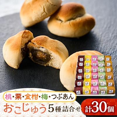 ふるさと納税 あきる野市 おこじゅう詰め合わせ(30個入)【お茶ぞっぺの中島屋(あきる野の匠)】
