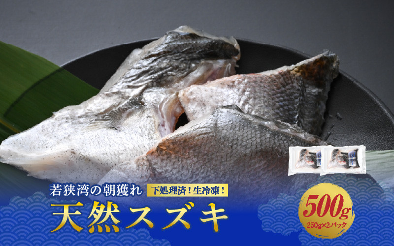 
            若狭湾の朝獲れ 天然 スズキ 約500g (約250g×2パック) 下処理済!生冷凍!だから人気!【 鮮魚 魚介類 海鮮 下処理 小分け 冷凍 切り身 簡単調理 手軽 白身 焼き物 煮つけ 鍋 】[m17-a072]
          