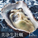 【ふるさと納税】中野水産 美浄生牡蠣（殻付）15個 牡蠣ナイフとレモン付生かき 国産 広島県産 殻付き 冷蔵便 焼き牡蠣 蒸し牡蠣 牡蠣鍋 秋 旬 広島県 呉市