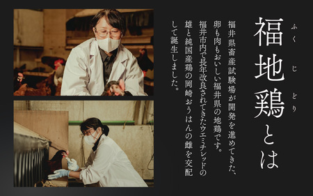 濃厚で甘くておいしい！ 福井ブランド「福地鶏」の卵 30個（15個入×2段） ／ 卵 たまご 鶏卵 生卵 有精卵 高級 高級卵 福地鶏 鶏 平飼い 美味しい こだわり 卵かけご飯 料理 あわら市 福井