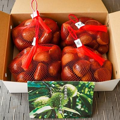 ふるさと納税 綾部市 【数量限定/氷温熟成】京栗　おまかせセット　4種類　<合計2kg> |  | 03