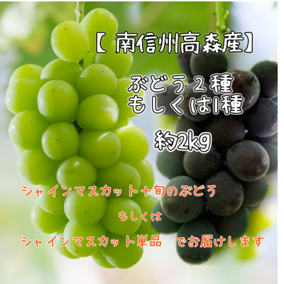 シャインマスカットと旬のぶどう(2種or1種)約2kg 2026年9月中旬より発送 長野県 信州 南信州 高森町 農家直送 果物 くだもの ぶどう シャイン 山吹ぶどう狩り組合