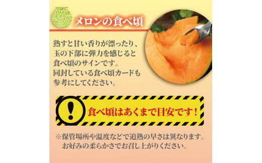 訳あり メロン 【 2027年先行予約 】 赤肉 約 5. 5kg 2～ 6L 約3～ 6玉 果物 くだもの フルーツ タカミレッド めろん meron 貴味レッド デザート 糖度 おすすめ 高級 人気 旬 訳アリ 青果 産地直送 送料無料 千葉県 旭市 たかの果樹園 tke004_X2
