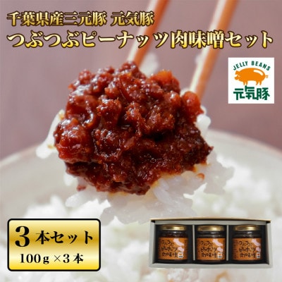 元気豚　つぶつぶピーナッツ肉味噌セット　100g×3本【配送不可地域：離島・沖縄】【1494177】