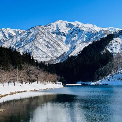 ふるさと納税 加茂市 【新潟県加茂市七谷産】コシヒカリ5kg(高柳産・生産者指定) |  | 01