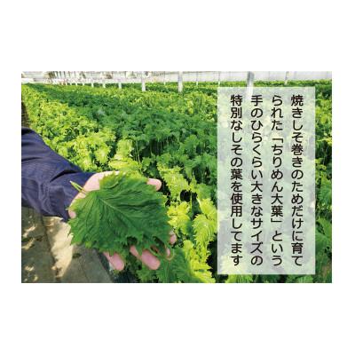 ふるさと納税 多賀城市 ご家庭用 満足する焼きしそ巻き 500g×2個(1kg) |  | 03