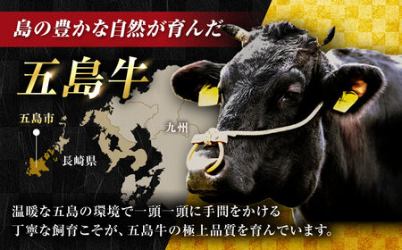 【3回定期便】五島牛 焼肉セット 1.4kg（肩ロース600g/バラ800g） 五島市/ごとう農業協同組合[PAF046]