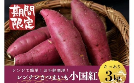 【JA阿蘇】令和8年1月以降発送 レンチンからいも 3kg 3000g 2個×8袋 先行予約 熊本 阿蘇 小国町 小国郷 レンジでチン さつまいも サツマイモ からいも 優しい甘さ ホクホク 天然のスイーツ レンジ用甘藷 小国紅 ギフト