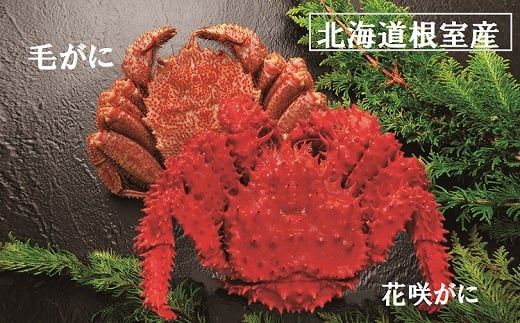 B-01028 【北海道根室産】毛がにと花咲がに 【12/31決済分まで1月中配送】