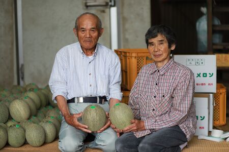 完熟 タカミメロンシャーベット 16個 アイス スイーツ メロン [0723]