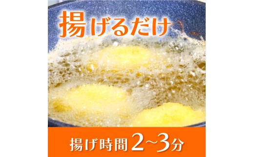 鮮魚 フライ 10切れ セット ハマチ ハマチ ブリ 鰤 タイ 鯛 シイラ カツオ 鰹 魚介 メンチ 夕食 弁当 ご飯に合う 米に合う コメに合う 冷凍 高級 高知県 須崎市 須崎魚商人組合 GK01