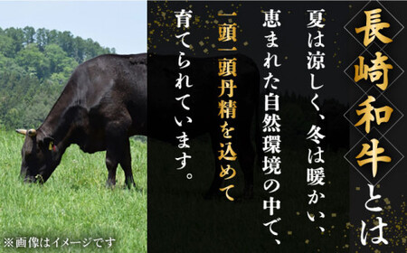 長崎和牛 ハンバーグ 10個入 牛肉 国産 長崎和牛 おすすめ ハンバーグ[QBD020]