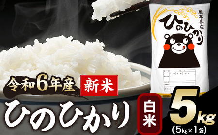 令和6年産 新米 早期先行予約受付中 ひのひかり 白米 5kg 《11月-12月より出荷予定》 白米 精米 熊本県産(南阿蘇村産含む) 単一原料米 南阿蘇村