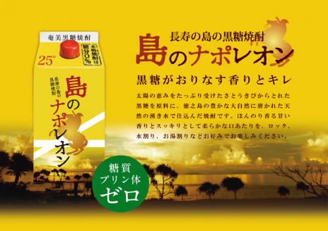 【蔵元直送】奄美本格黒糖焼酎　島のナポレオンパック900ml×24本（数量限定）