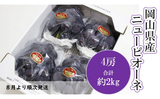 
岡山県産　ニューピオーネ（１房４８０ｇ以上・約２kg）４房入り（WFH）
