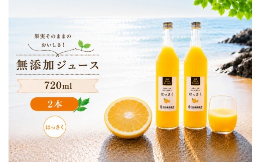 
                  はっさく 100% ジュース / 八朔 ストレート 果汁 無添加 柑橘 和歌山 7000円 720ml ※北海道・沖縄・離島への配送不可 //drink 【ikd100-has720-2A】
                