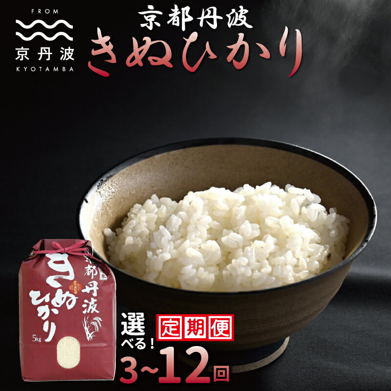 【ふるさと納税】【定期便】 京丹波きぬひかり 5kg 10kg 3カ月 6カ月 12カ月 選べる定期便 令和7年産 精米 京都 キヌヒカリ ※北海道・東北・沖縄・その他離島は配送不可