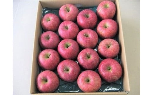 りんご（サンふじ）５ｋｇ　１３～１８玉　0056-2520