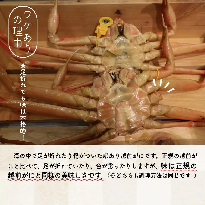 訳あり≪茹で≫越前ズワイ蟹(小) 5杯【2027年1月発送分】かに カニ [J-1605_01]