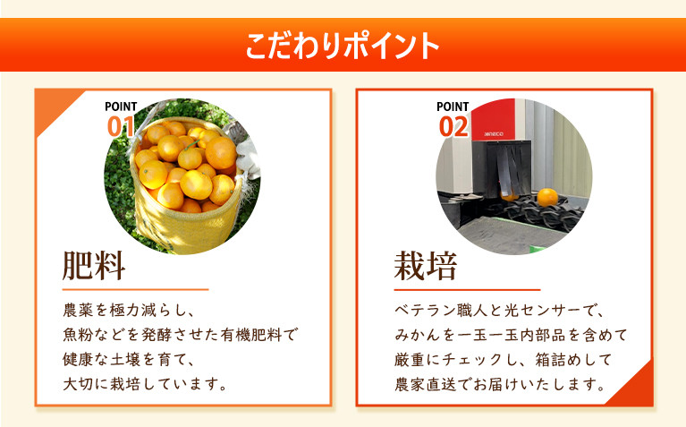 ［先行予約］家庭用 蔵出しみかん7.5kg+250g（傷み補償分）［2027年1月中旬から2027年2月末日頃、順次発送予定］［IKE241］