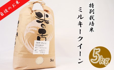 ≪令和7年産≫ 【特別栽培米】【新米】【数量限定】 垂井町産 ミルキークイーン 5kg