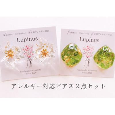 ふるさと納税 小山市 アレルギー対応ピアス 2点セット「クリアフラワーのピアス・アジアンタムのピアス」