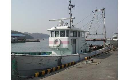観光底引き網体験　採れた魚介類のお土産付き_【G0124】