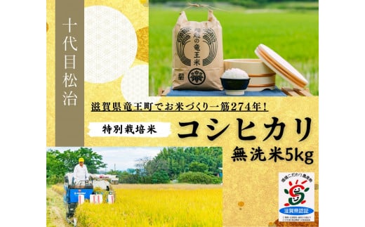 米 コシヒカリ 無洗米 5kg 縁起の竜王米 ( 令和7年産米 無洗米 5kg おこめ ごはん 米 特別栽培米 ブランド米 ライス こだわり米 ギフト 国産 滋賀県竜王町 )