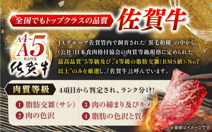 佐賀牛 牛肉 佐賀県産 黒毛和牛 焼肉 やきにく BBQ アウトドア A5