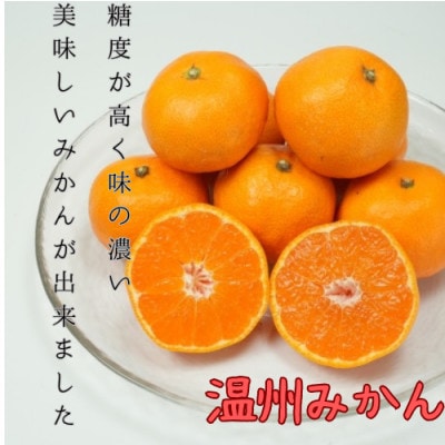 八幡浜産 温州みかん小玉　5kg【D96-5】【1670780】