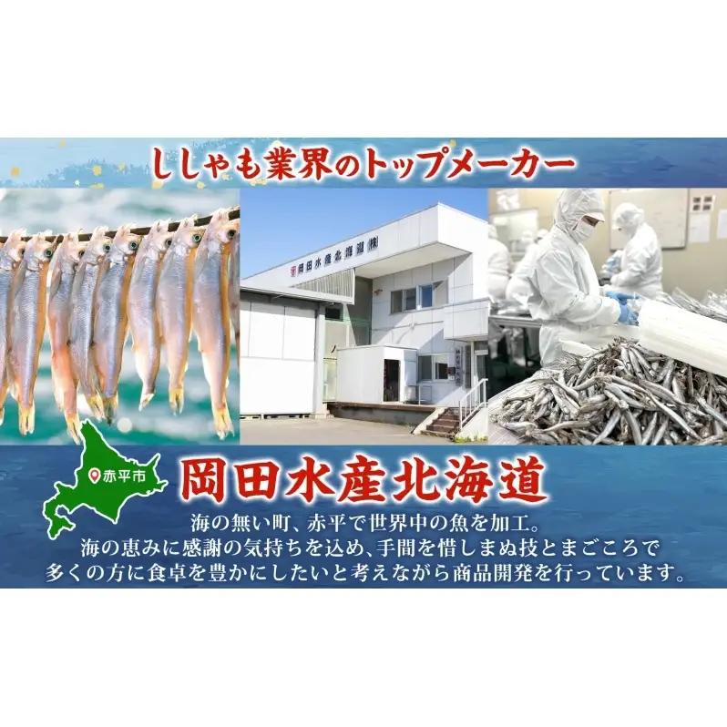 ソフトタイプ鮭とば「北海道産 鮭燻ソフト」1.5kg（500g×3） 加工食品 魚貝類 サーモン おつまみ 