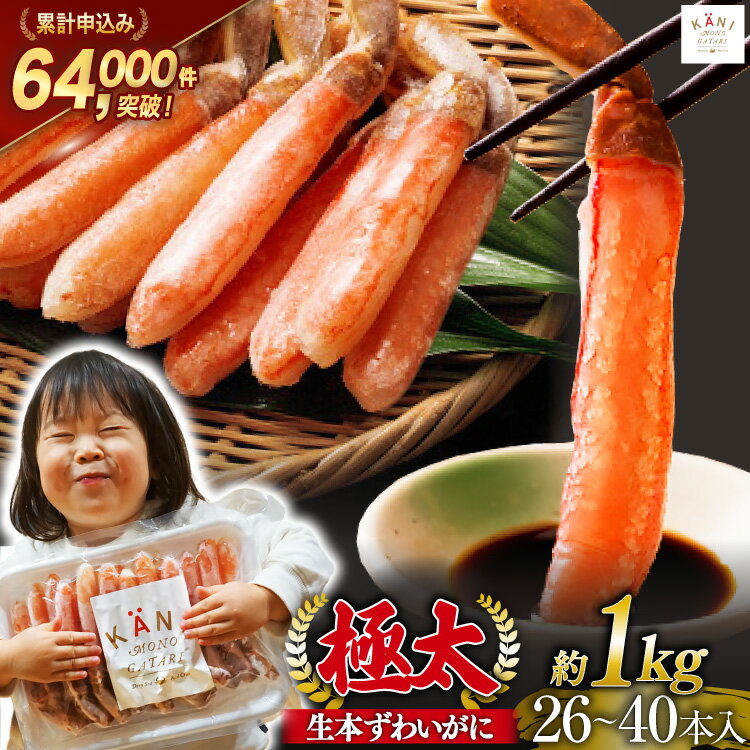 極太 生本ずわいがに 棒肉ポーション 約1kg 30本～40本入り 殻剥き不要 ! 脚肉のみ ! / かに物語 カネダイ / 宮城県 気仙沼市 [20562060] カニ ずわいがに ズワイガニ ずわい蟹 ズワイ蟹 蟹 カニ カニ脚 蟹脚 カニ棒肉 カニ 生 蟹 ポーション カニしゃぶ