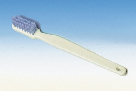 歯の模型 歯磨き指導用 大型モデル（永久歯列 歯ブラシ付）《歯 模型 歯列模型 歯模型 顎模型 2倍大》 ※着日指定不可