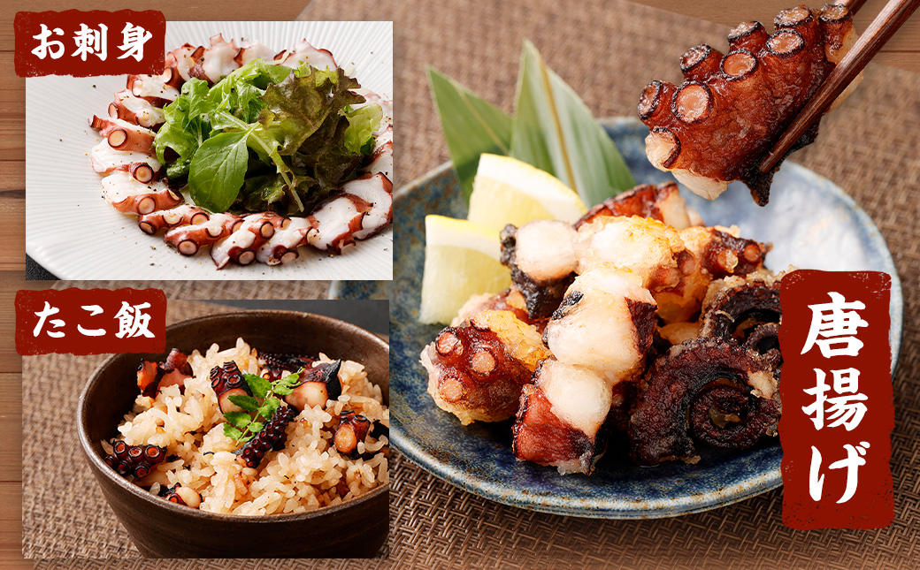 【ANA限定】大阪産 泉タコ （生たこ） 計1.3kg 650g（1～3杯）×2袋 魚介類 海鮮 タコ たこ 真蛸 スミ抜き 塩もみ処理 下処理済み 簡単調理 冷凍