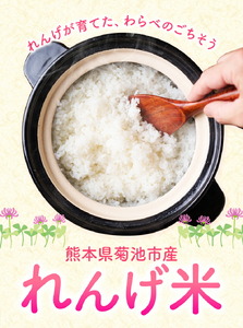 熊本県菊池市産のれんげ米 5kg 《30日以内に出荷予定(土日祝除く)》  精米方法 精米 お米 白米 レンゲ米 熊本県産 九州産 送料無料
