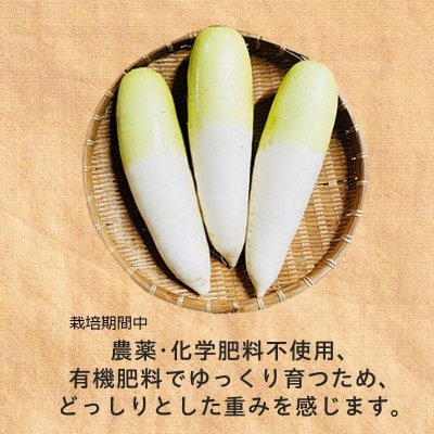 有機大根　有機JAS認証　煮物やおでんに最適　冬の味覚(12～3月発送)【配送不可地域：離島・北海道・沖縄県】