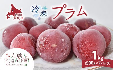 冷凍プラム 500g 2パック 1kg 冷凍プラム