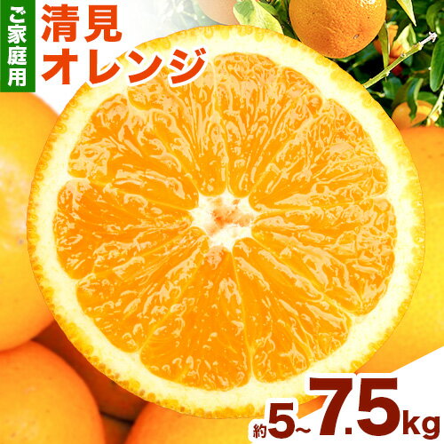 【ふるさと納税】＜先行予約＞【ご家庭用訳アリ】 紀州有田産清見オレンジ 約5kg 約7.5kg 株式会社魚鶴商店《2027年3月下旬-4月下旬頃出荷》 和歌山県 日高町 オレンジ 柑橘 ご家庭用